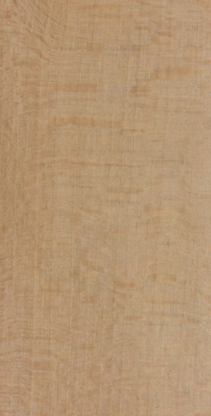 American Beech wood grain texture