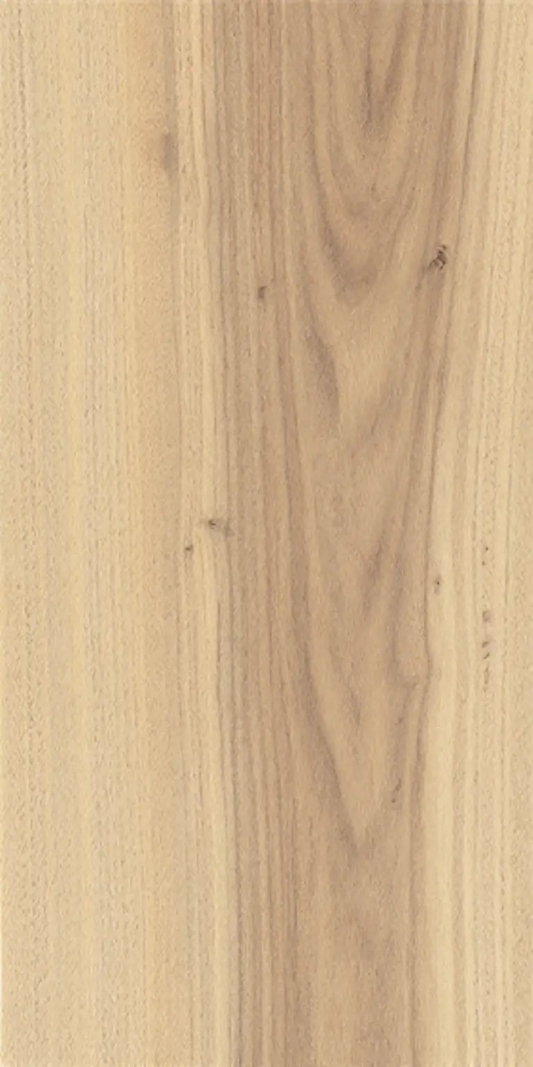 American Elm wood grain texture