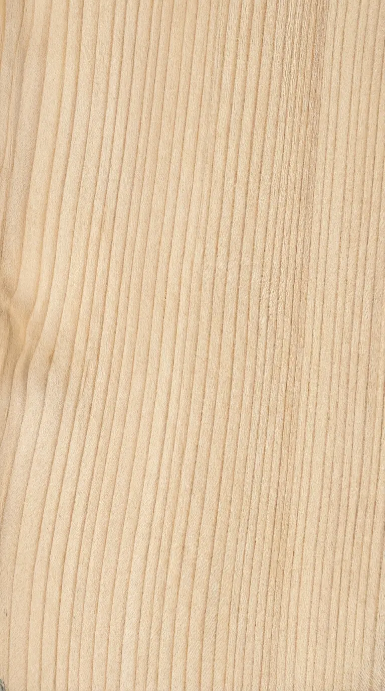 Balsam Fir wood grain texture
