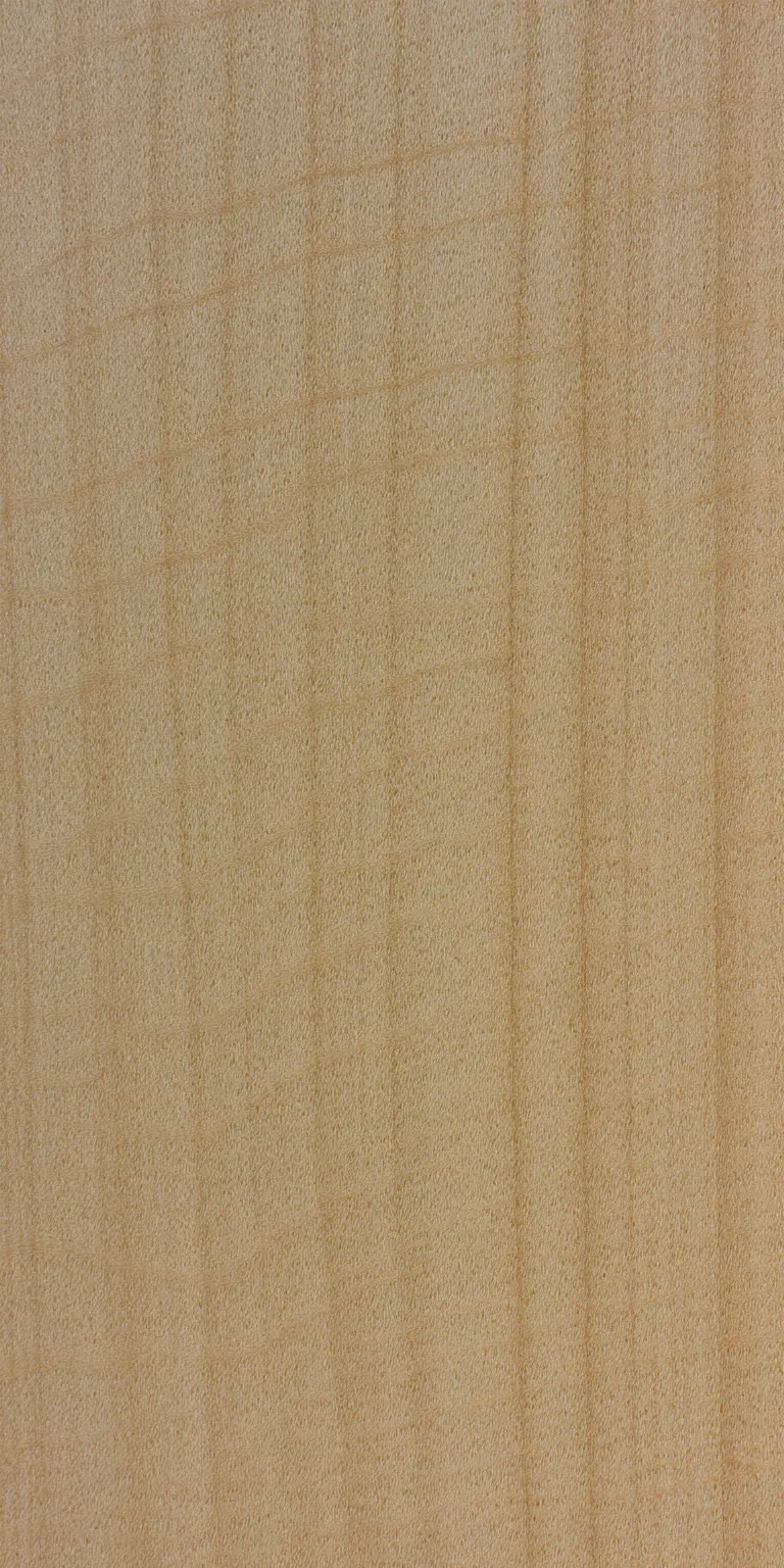 Bigleaf Maple wood grain texture