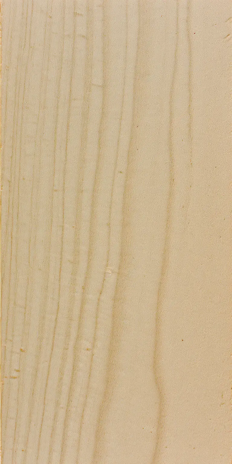 Black Maple wood grain texture