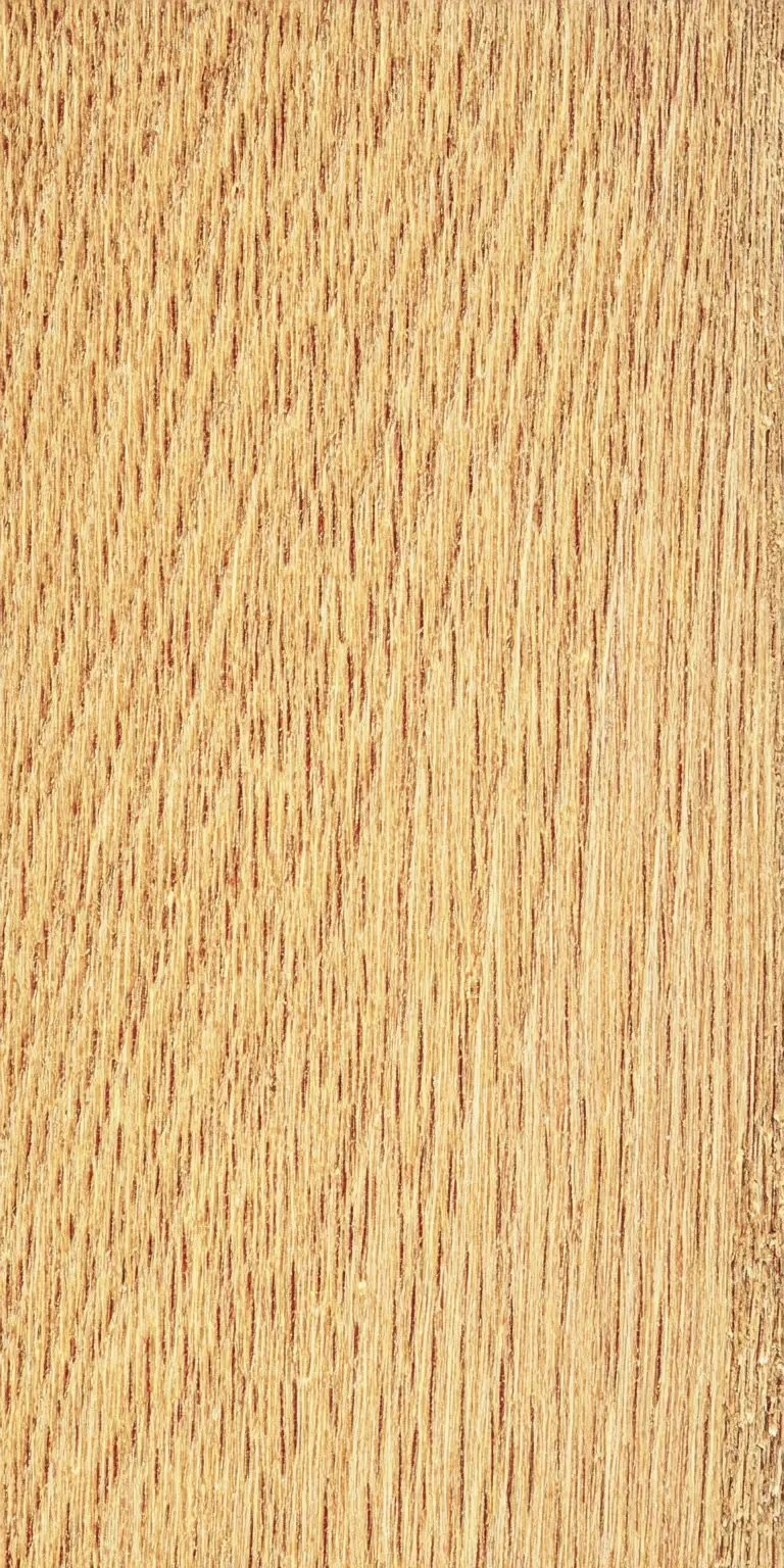 Black Oak wood grain texture