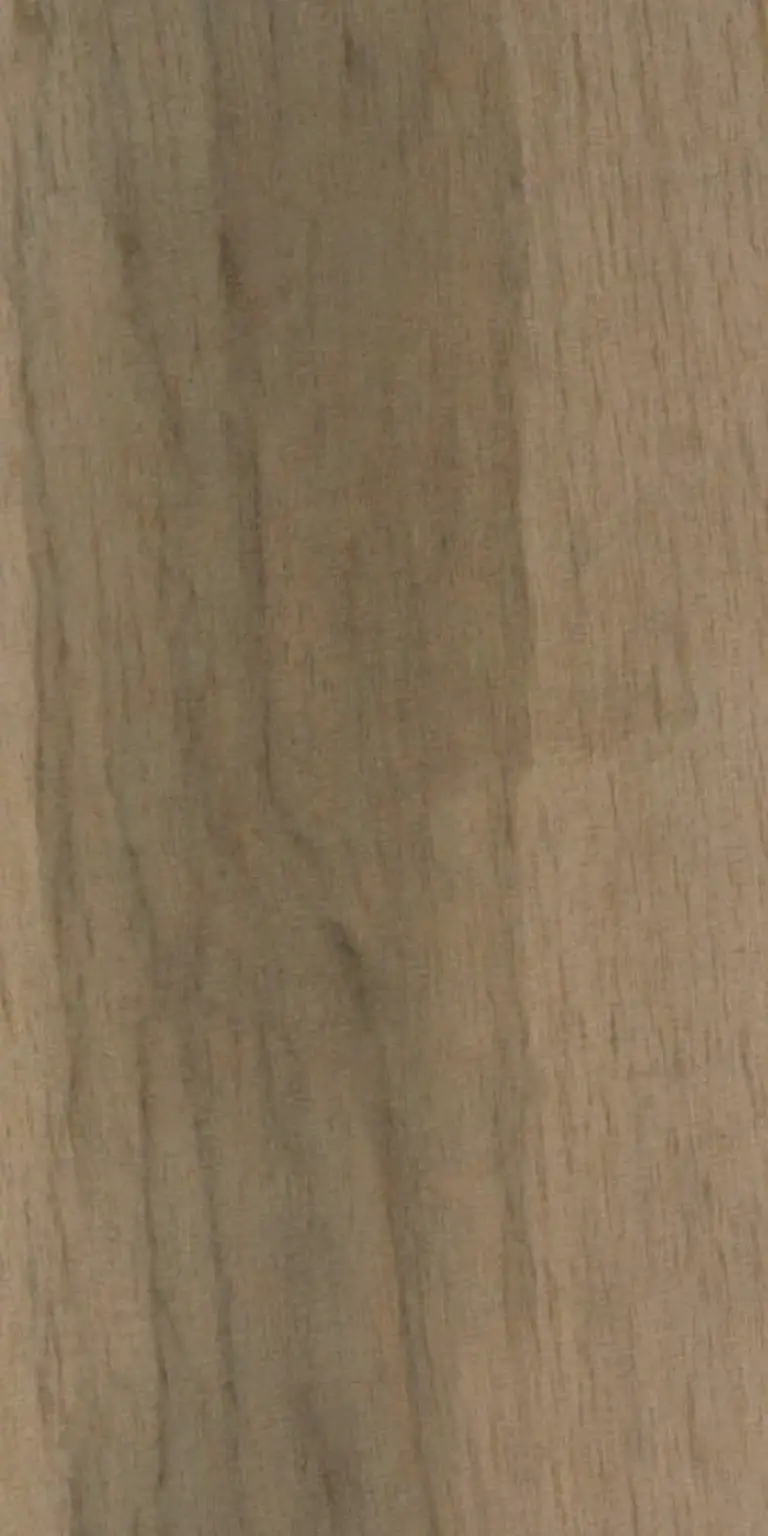 Black Tupelo wood grain texture