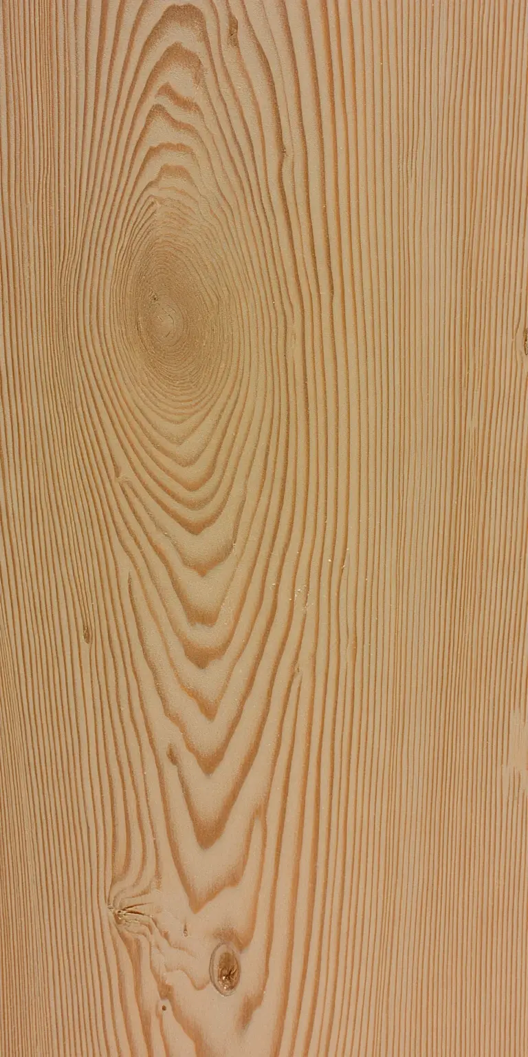 Douglas Fir wood grain texture