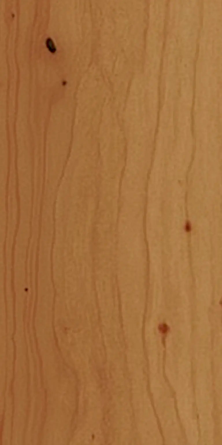 English Yew wood grain texture
