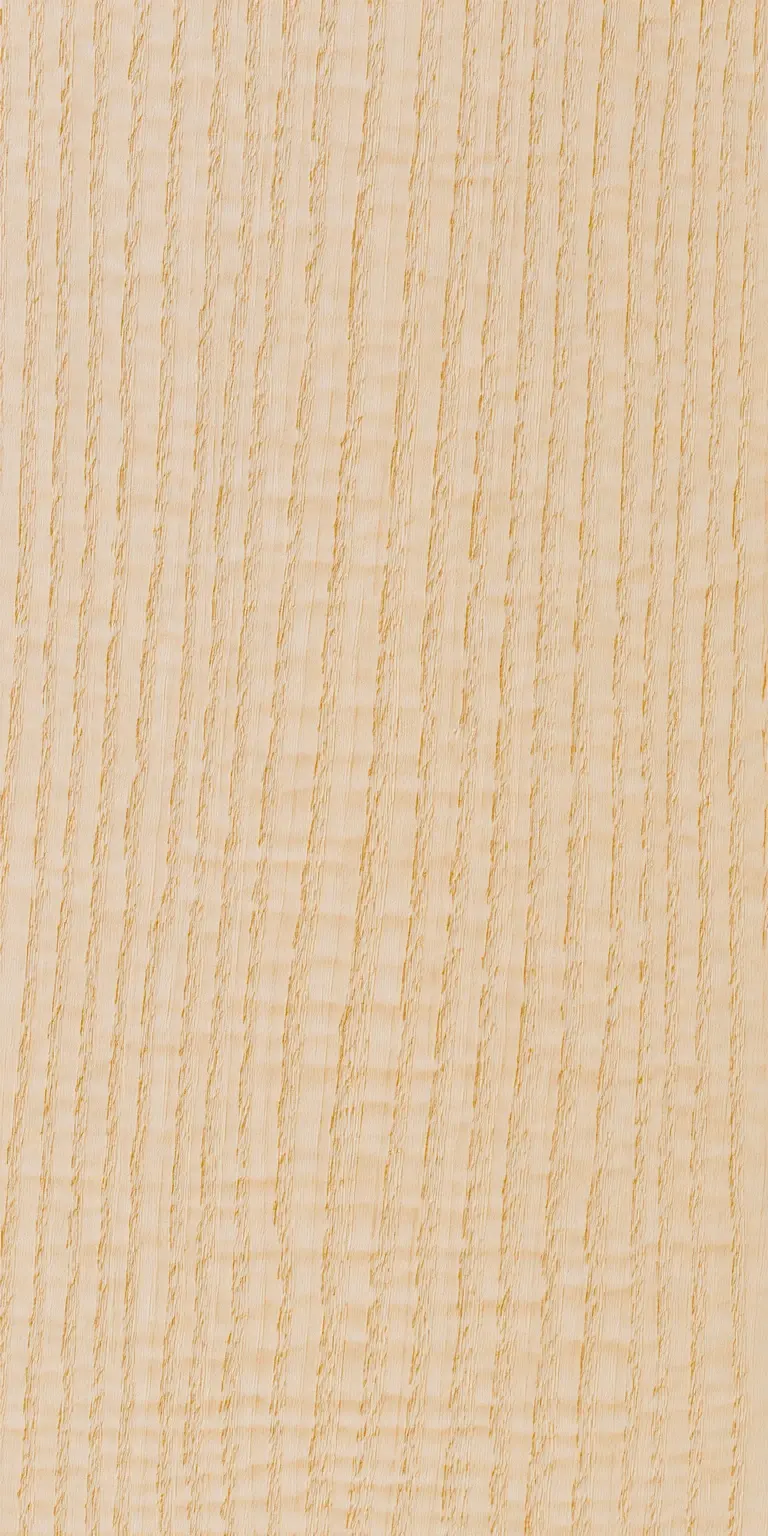 European Ash wood grain texture