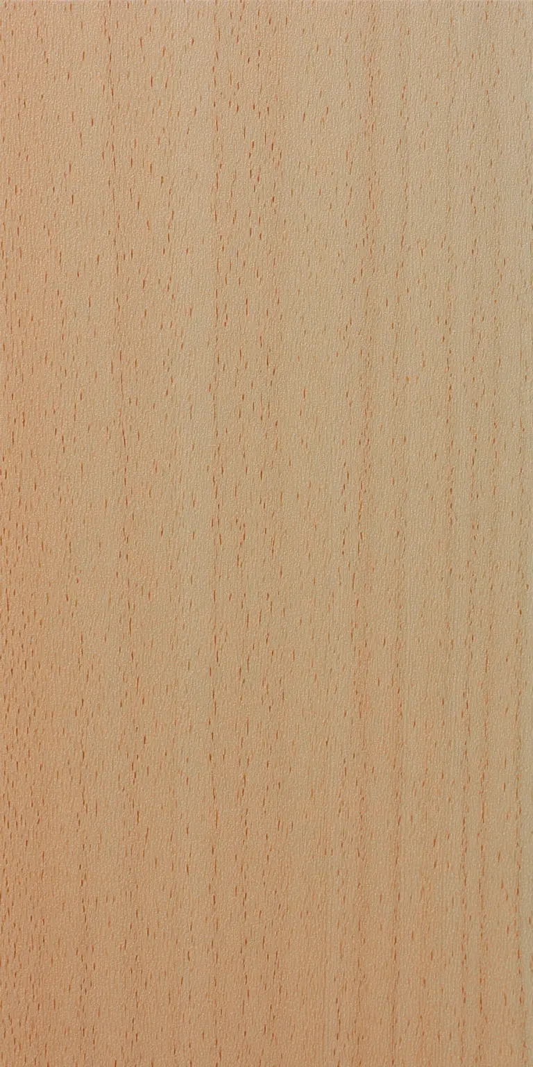 European Beech wood grain texture