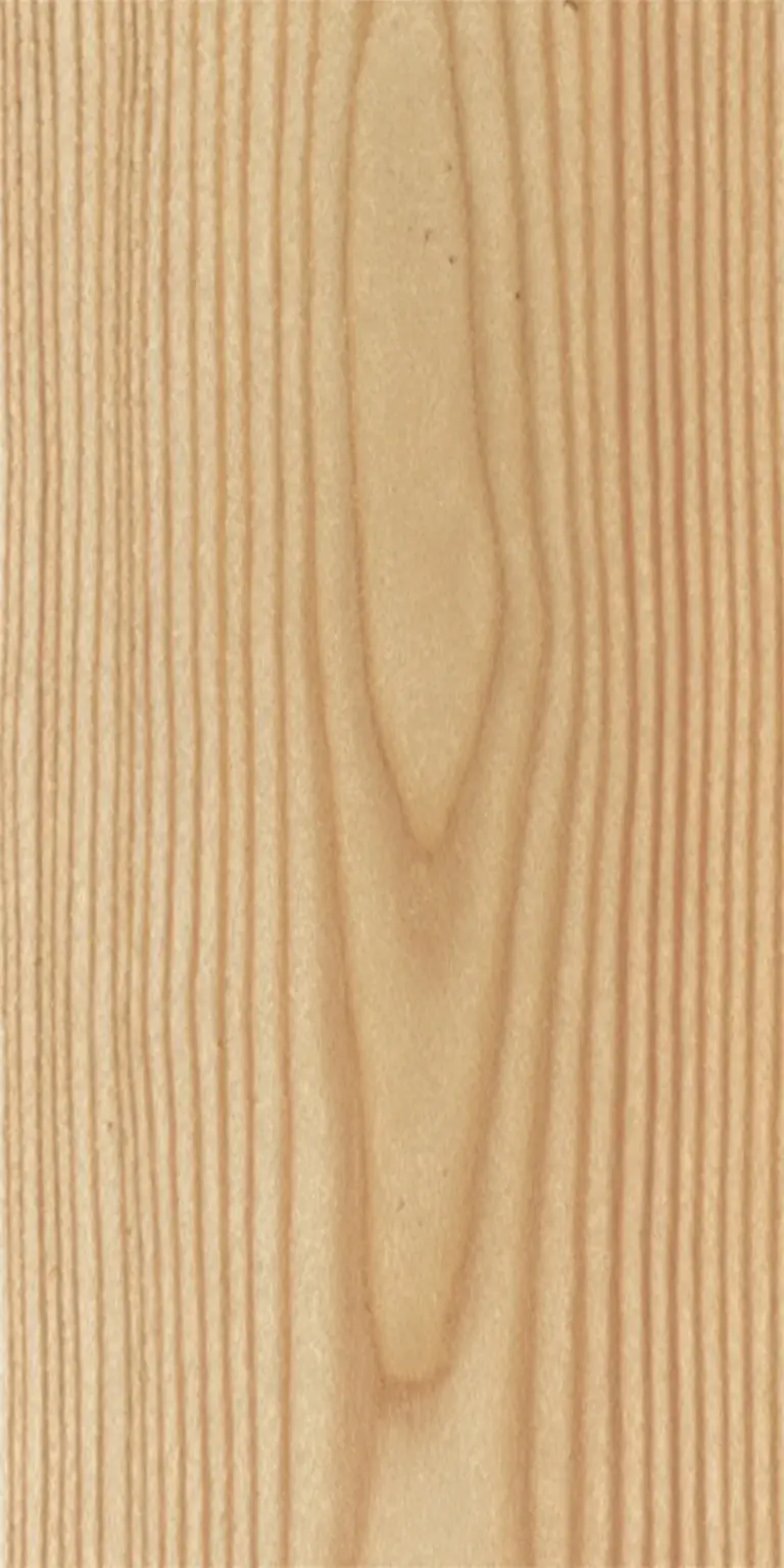 European Larch wood grain texture