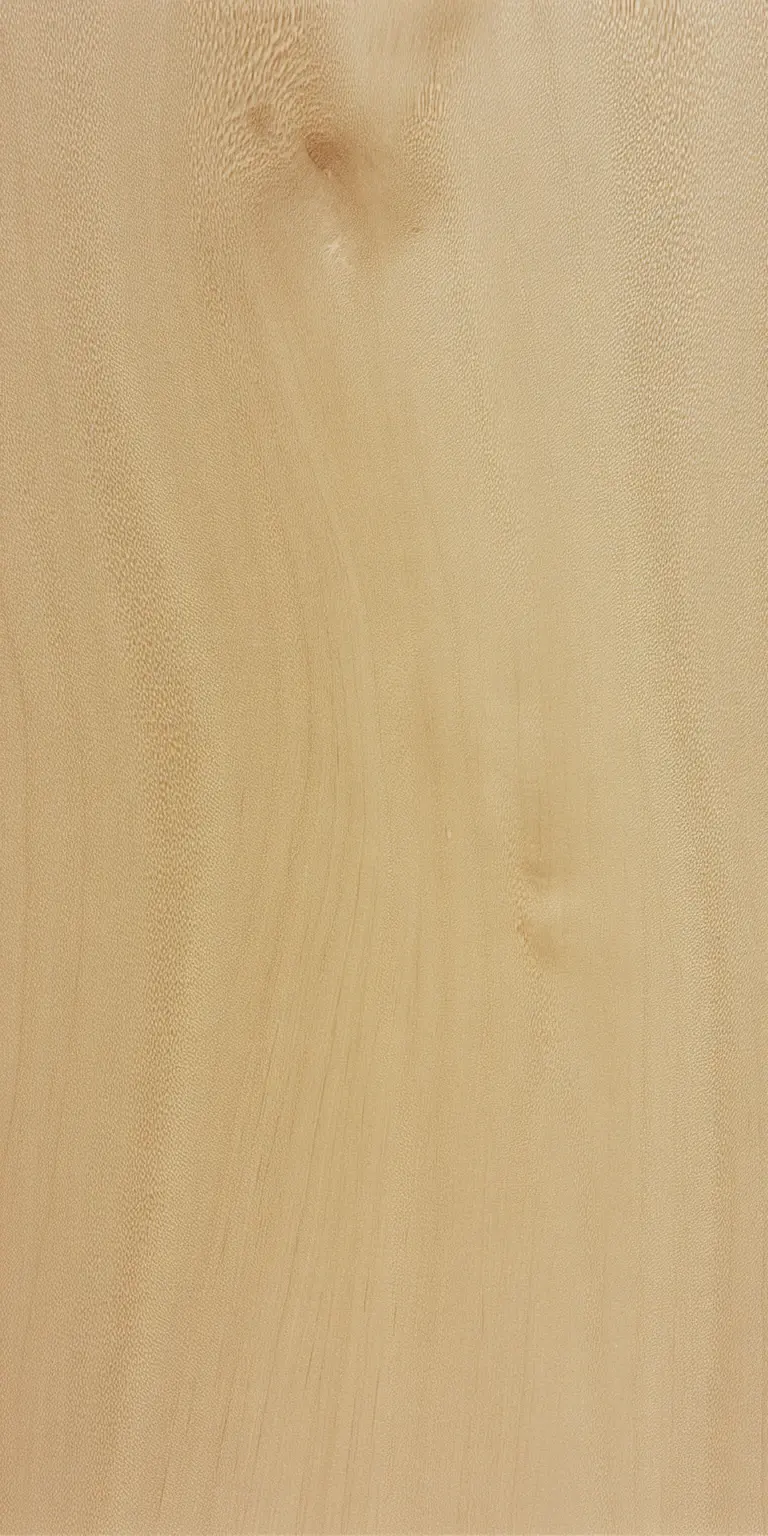 Horse Chestnut wood grain texture