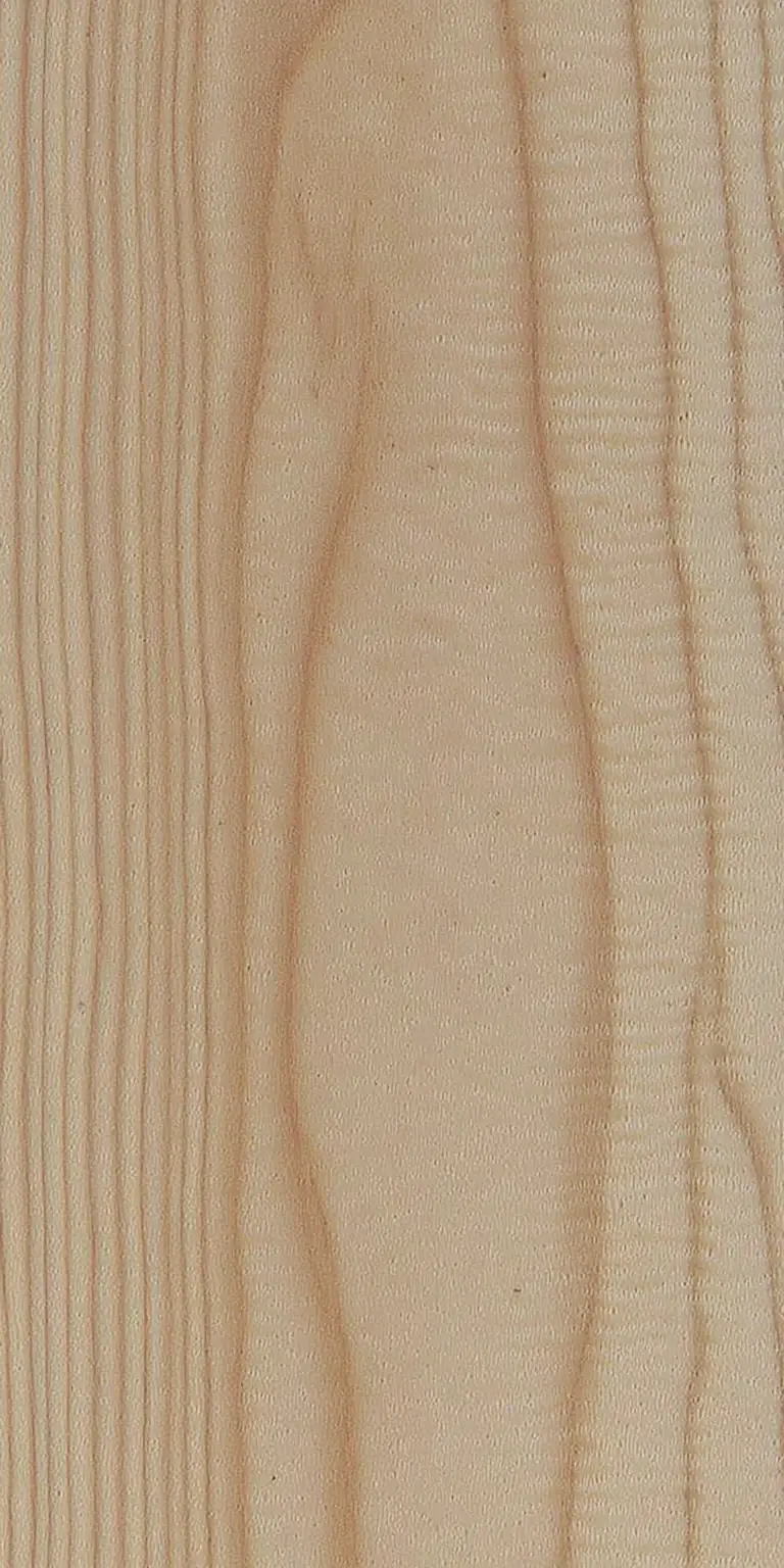 Mediterranean Cypress wood grain texture