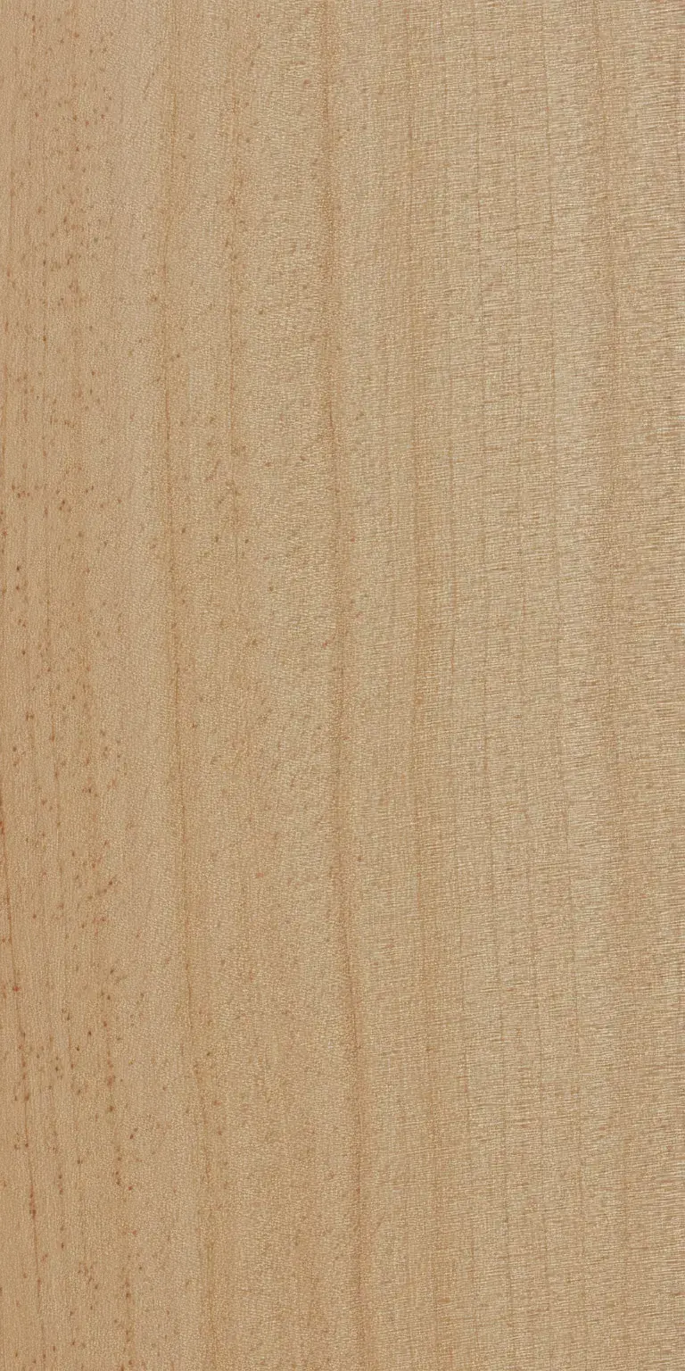Norway Maple wood grain texture