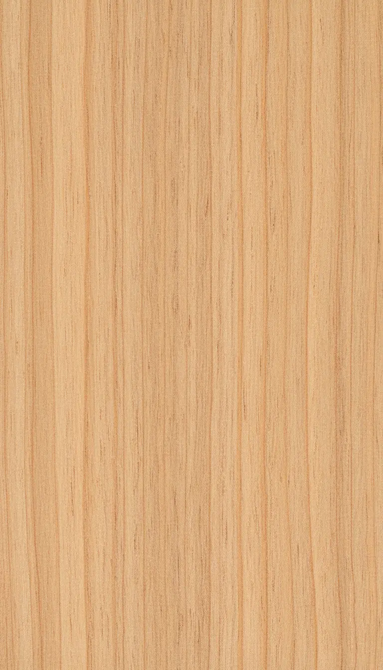 Parana Pine wood grain texture
