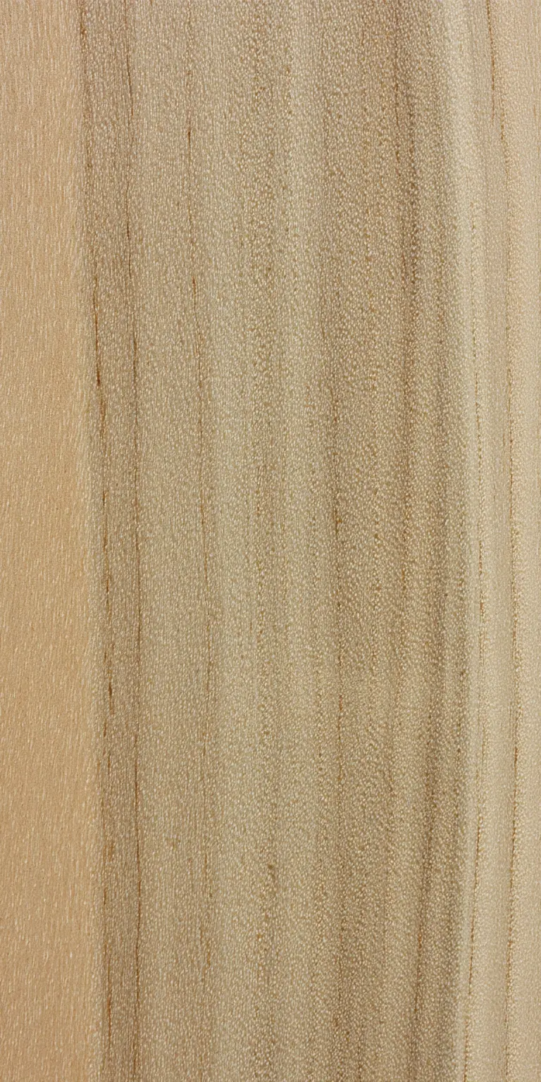 Red Maple wood grain texture