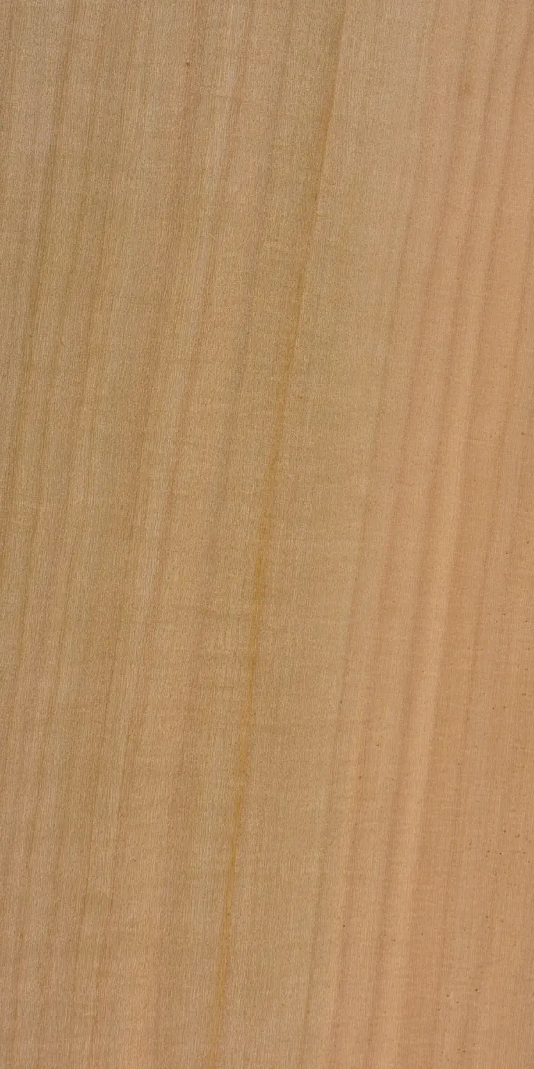Silver Maple wood grain texture