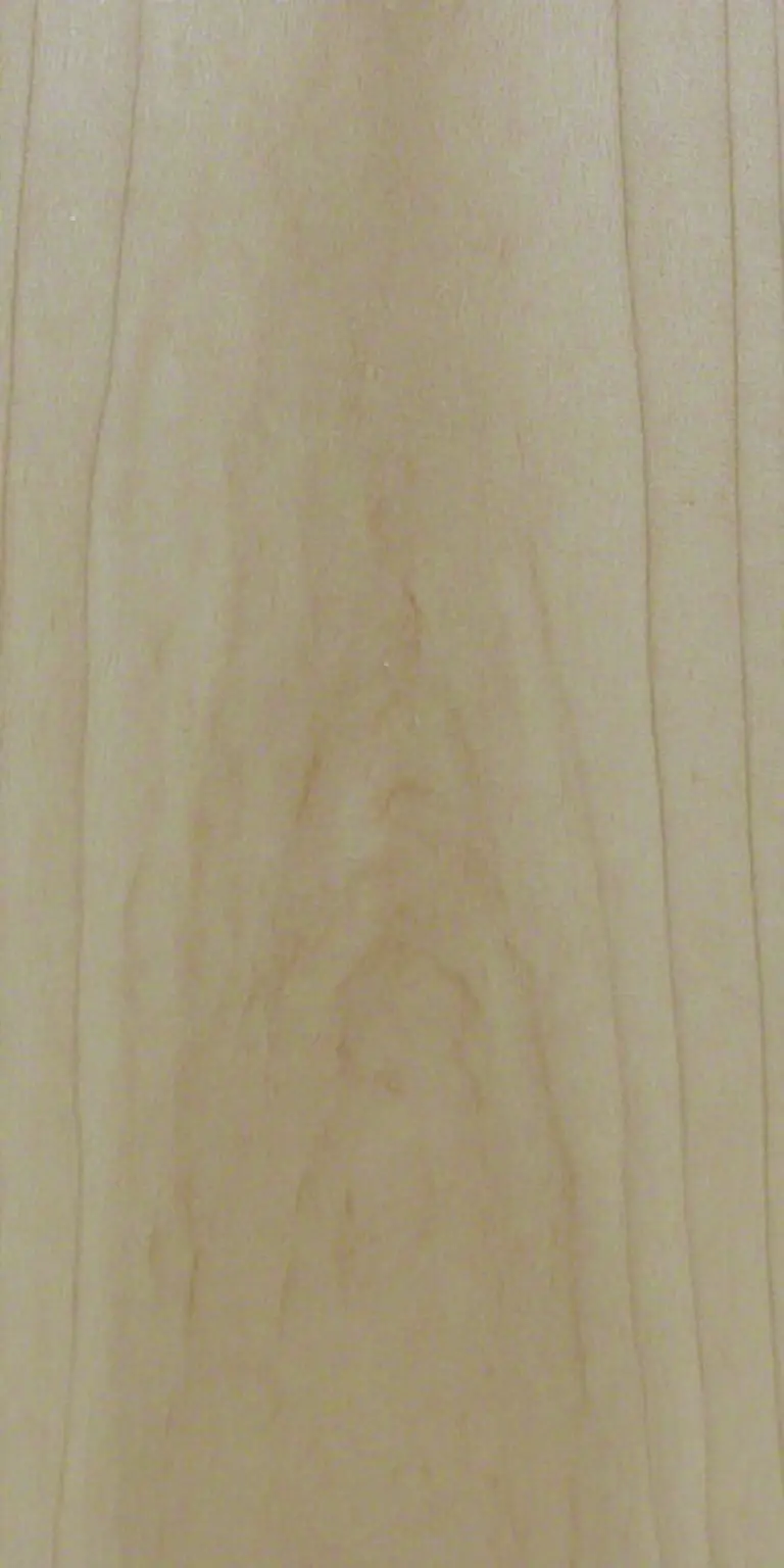 Southern Magnolia wood grain texture