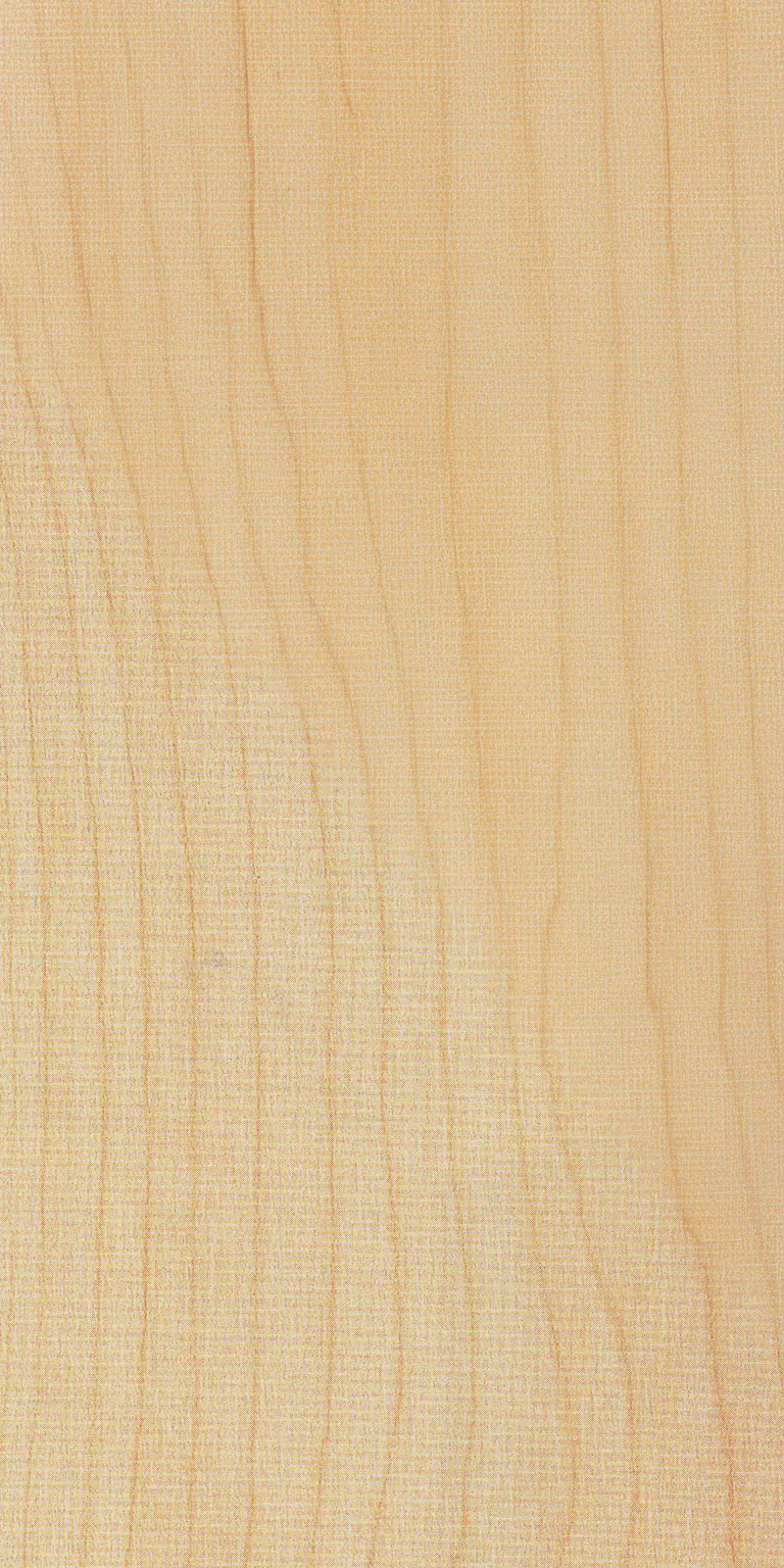 Sycamore Maple wood grain texture