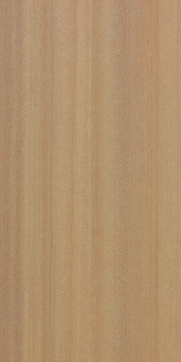 Tasmanian Blue Gum wood grain texture