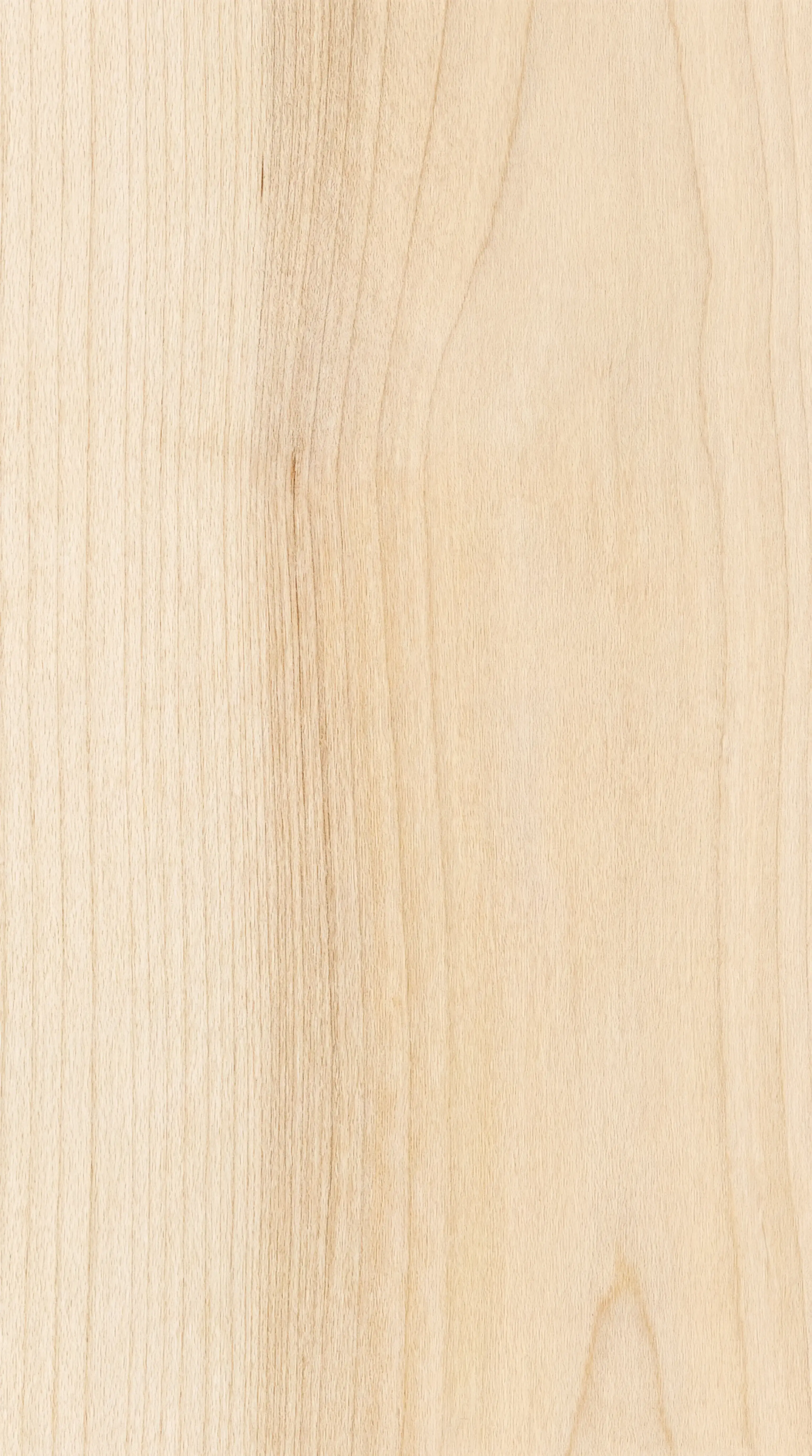 White Fir wood grain texture