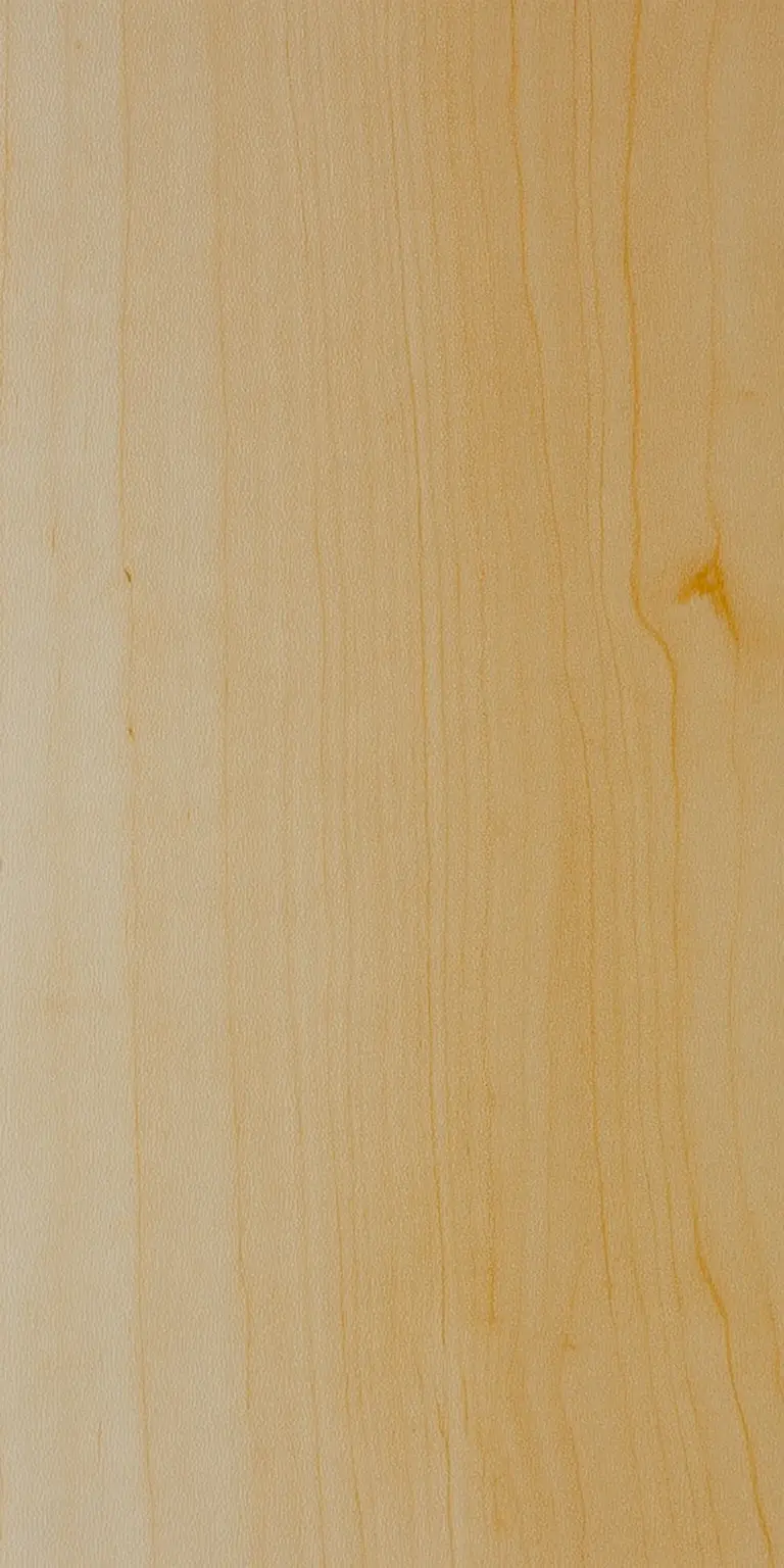 Yellow Birch wood grain texture