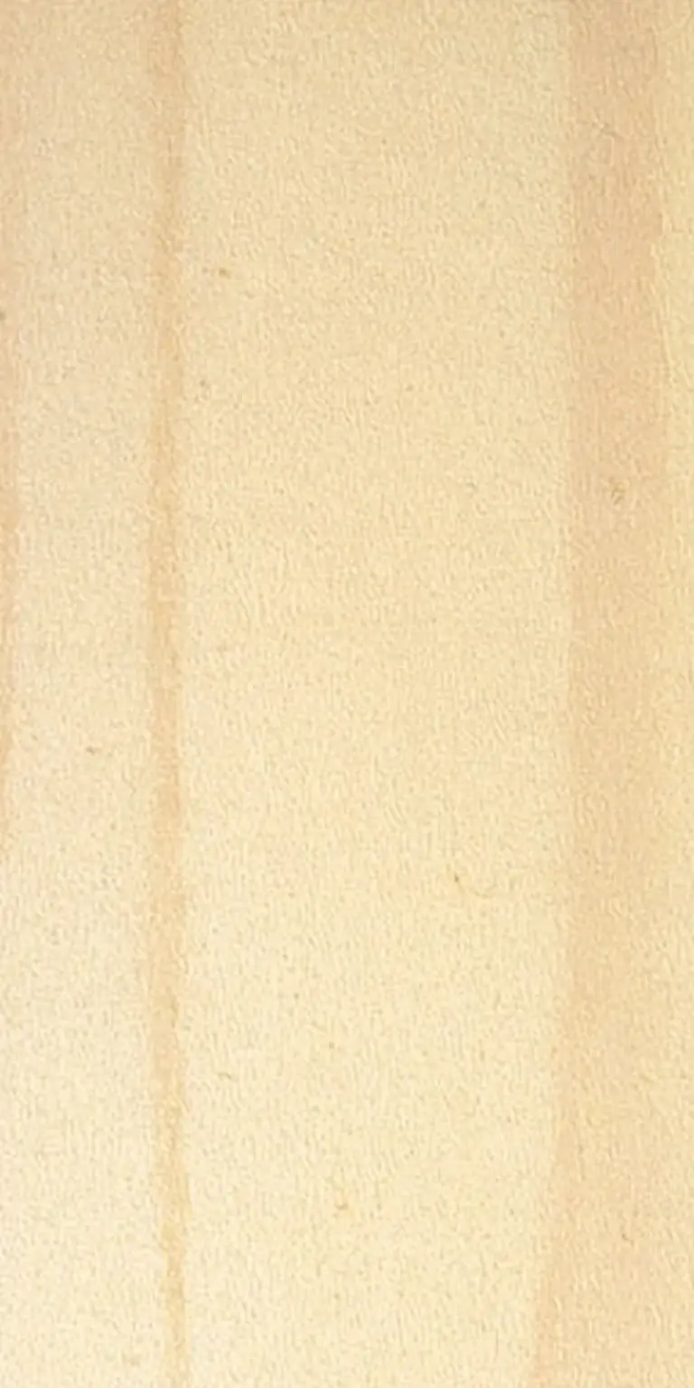 Yellow Poplar wood grain texture